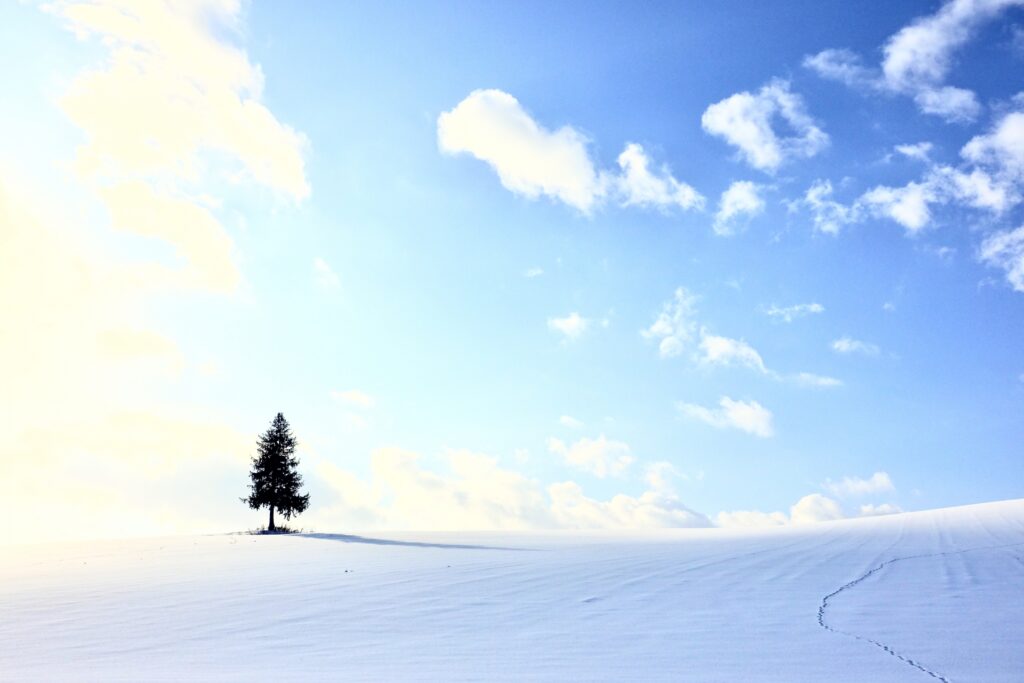 北海道旅行で訪れるべき理由